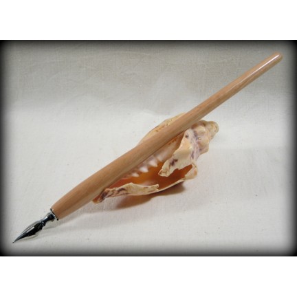 Calligraphy Dip Pen Kit